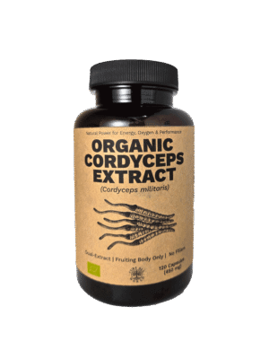 Cordyceps Extract